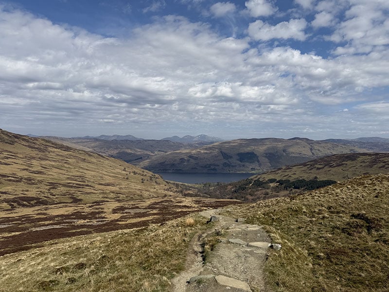 A view from the trail